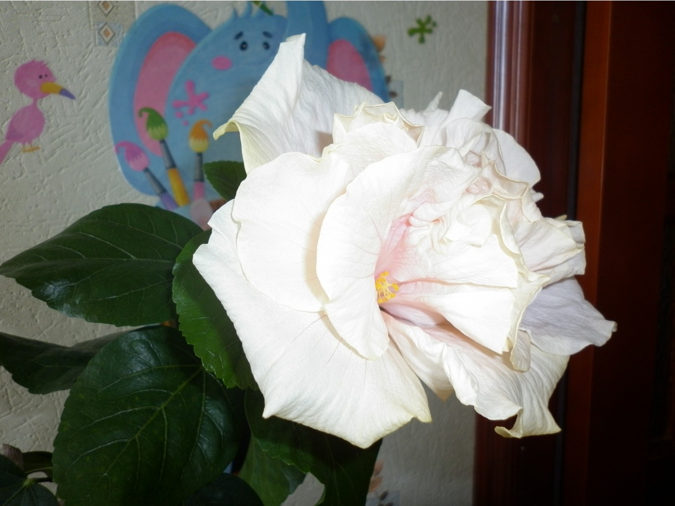 Bride's Bouquet