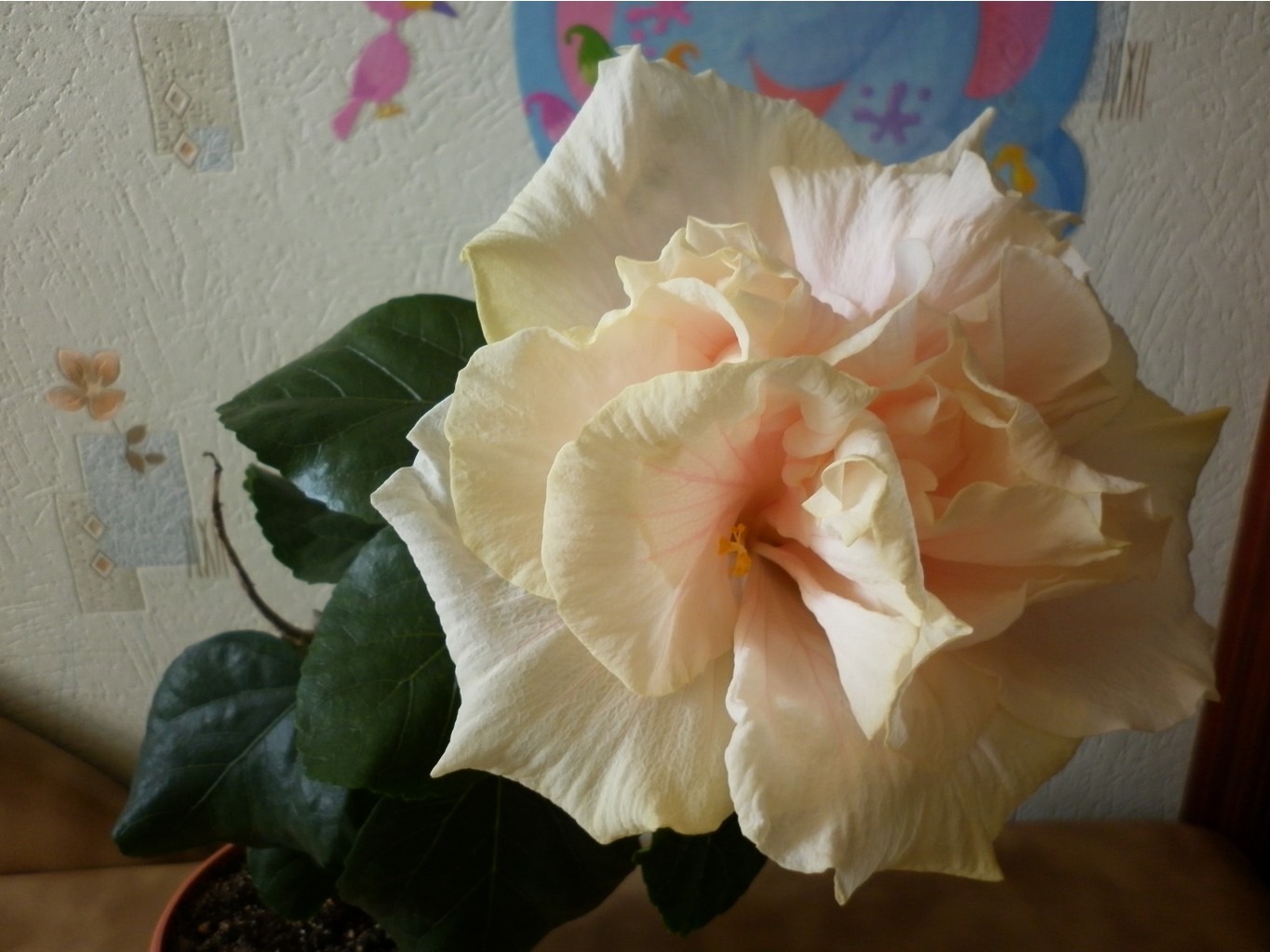Bride's Bouquet