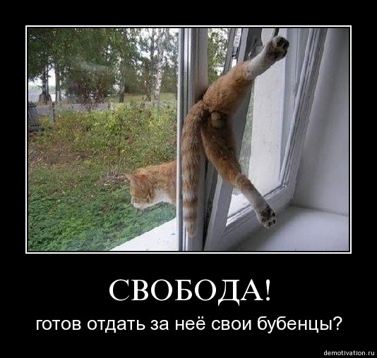 19.11.2009 10:03:18