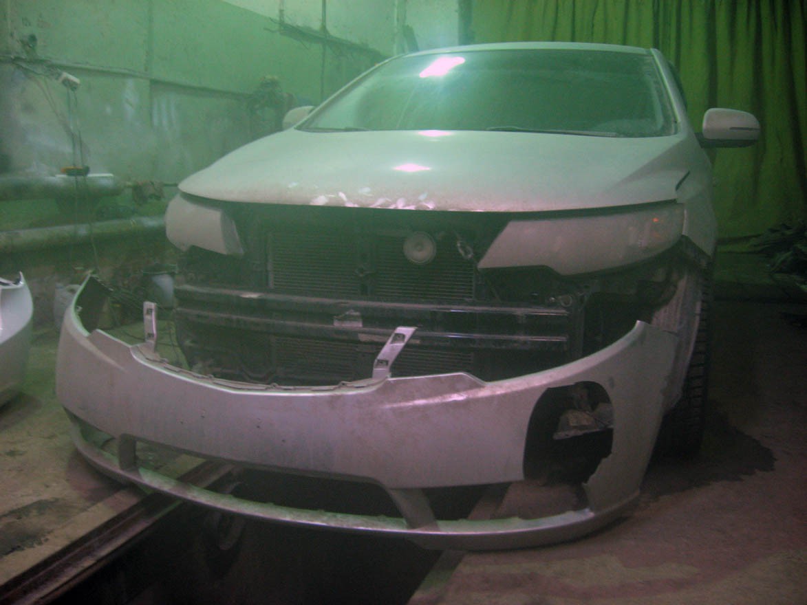 cerato1.jpg