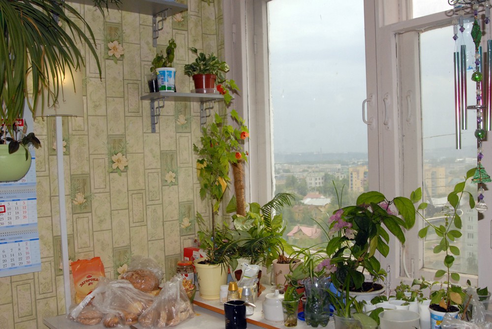 К (1).jpg