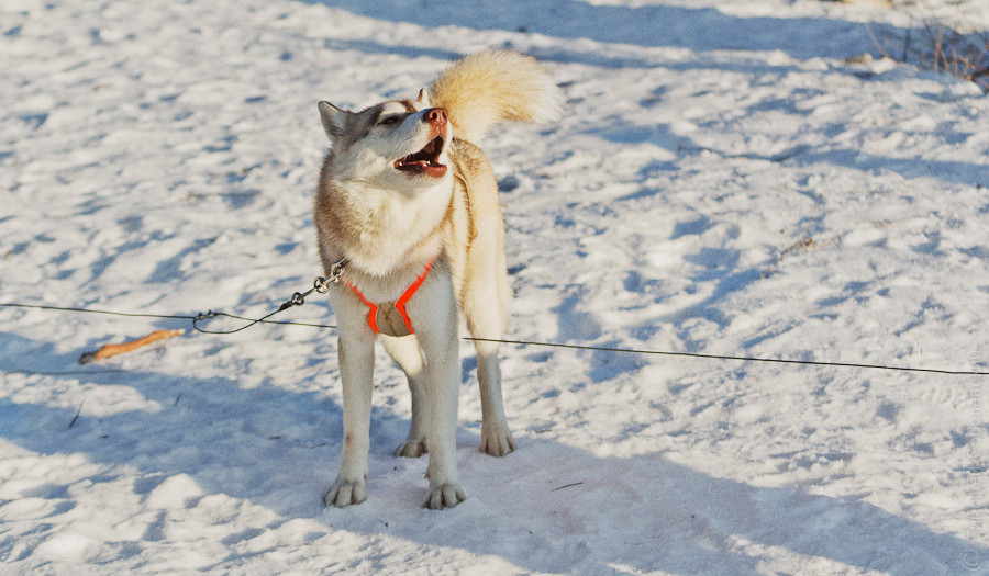 OK-DSC_3530.jpg