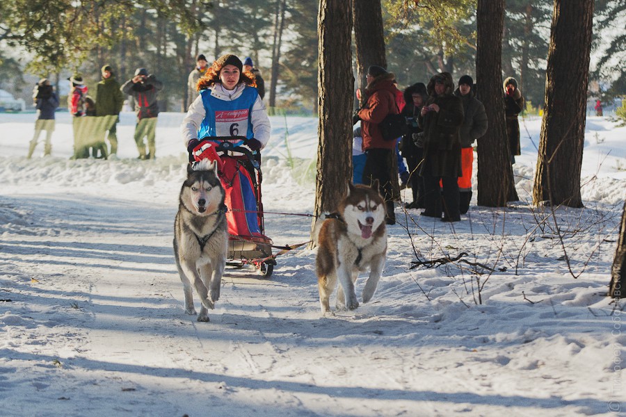 OK-DSC_3585.jpg