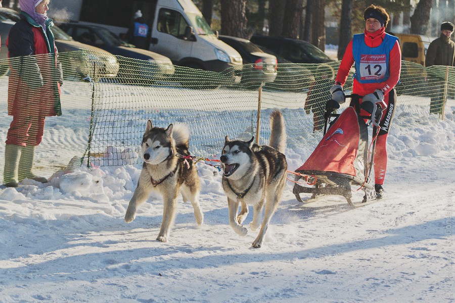 OK-DSC_3595.jpg