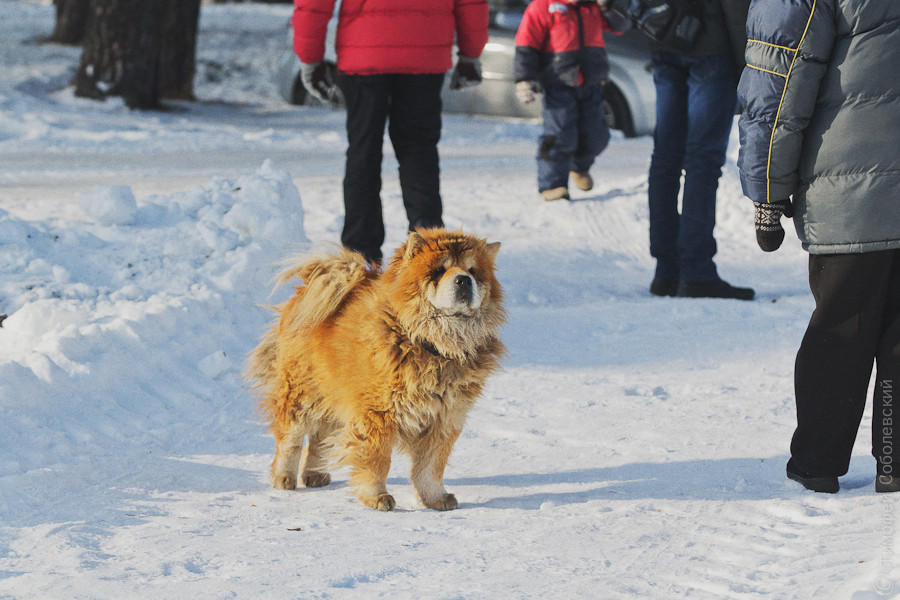 OK-DSC_3619.jpg