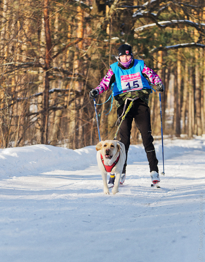 OK-DSC_3663.jpg