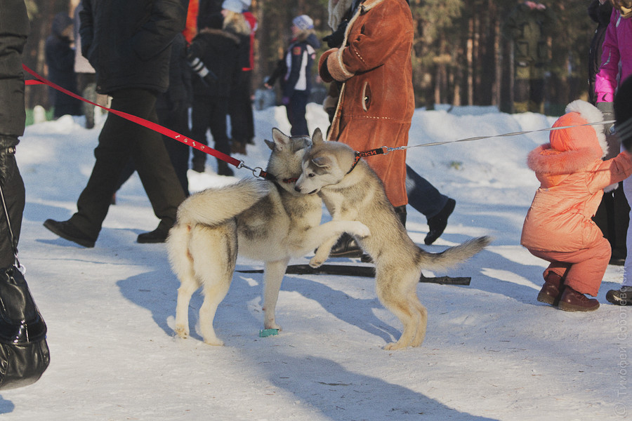 OK-DSC_3693.jpg