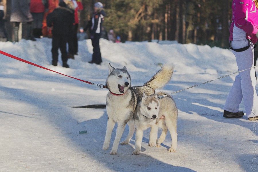 OK-DSC_3697.jpg