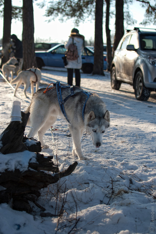 OK-DSC_6655.jpg