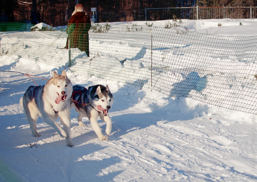 OK-DSC_6676.jpg