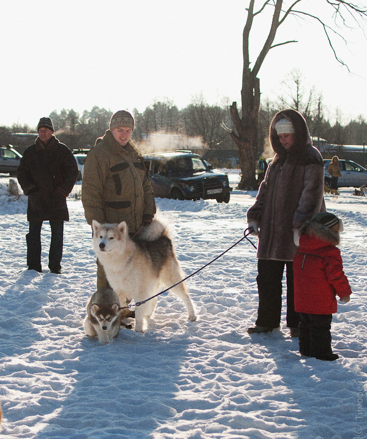 OK-DSC_6678.jpg