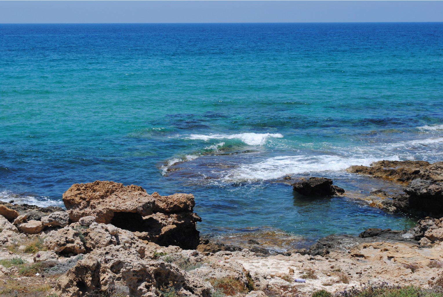 DSC_2514.JPG