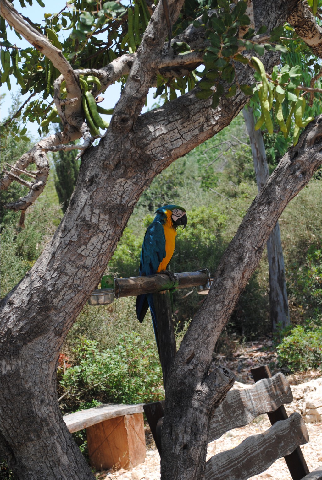 DSC_2593.JPG
