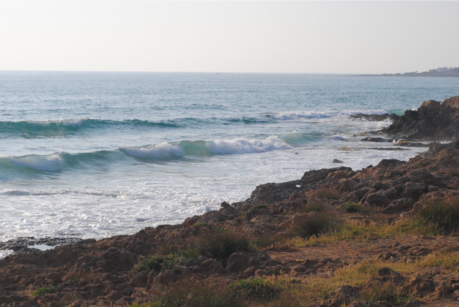 DSC_2756.JPG