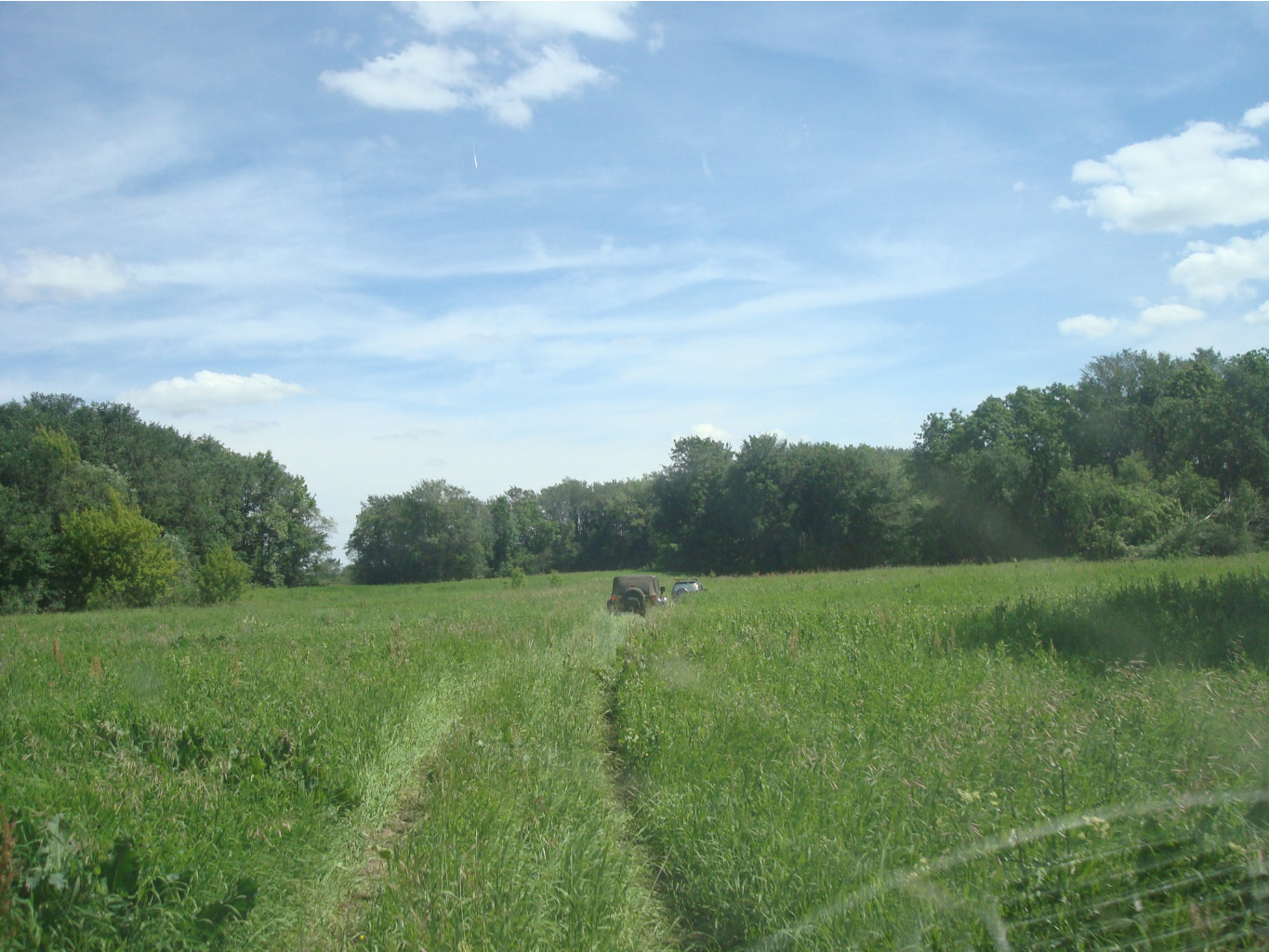 DSC08729.JPG