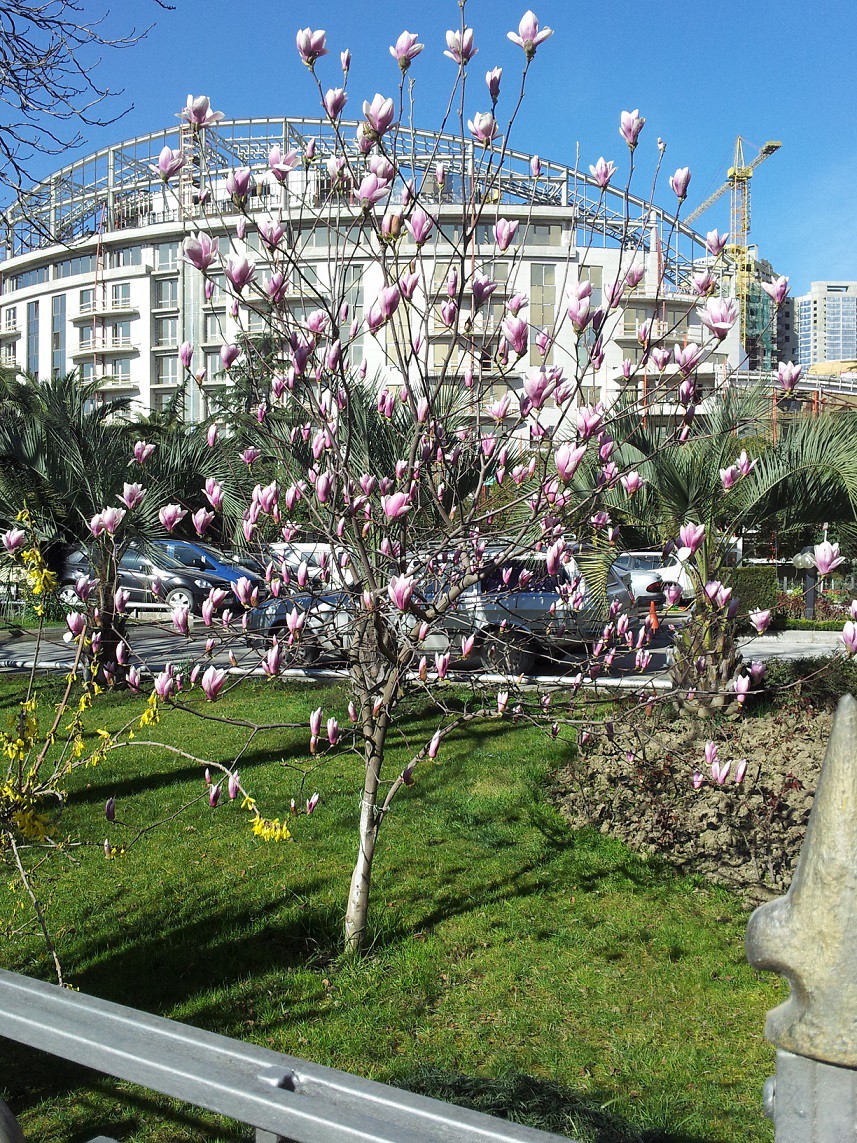 20130308_112415.jpg