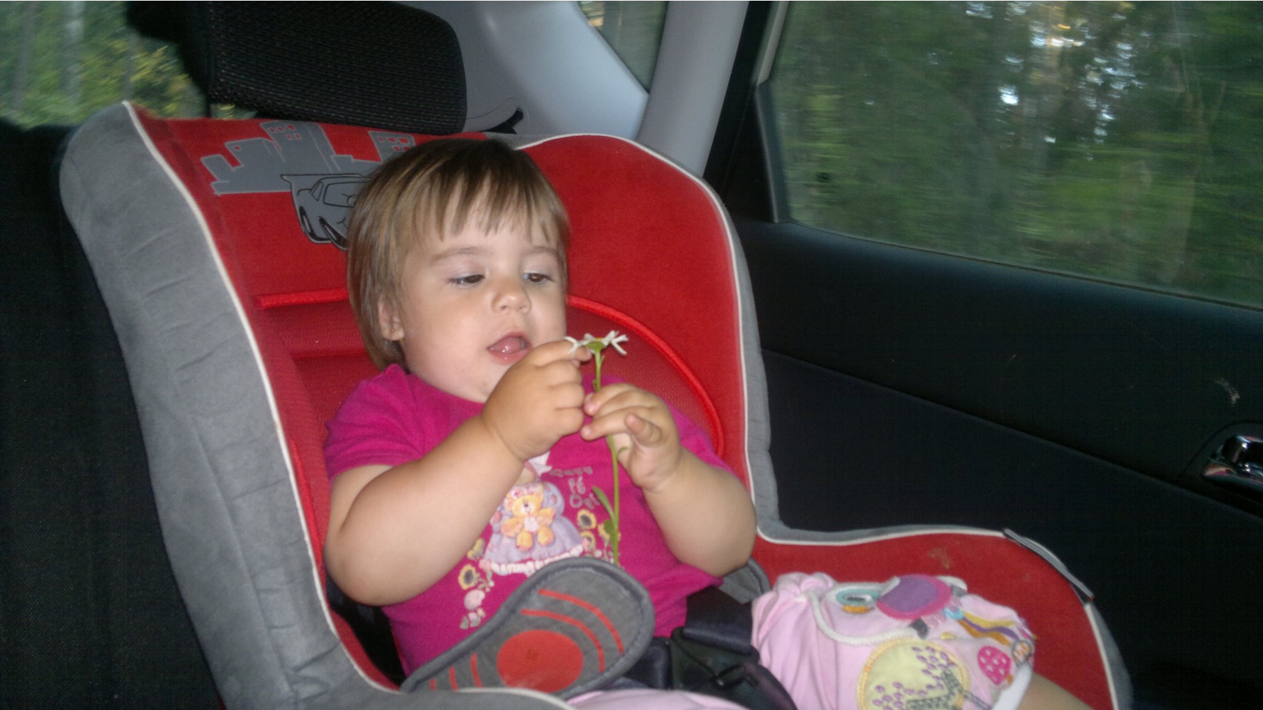 22062012661.jpg