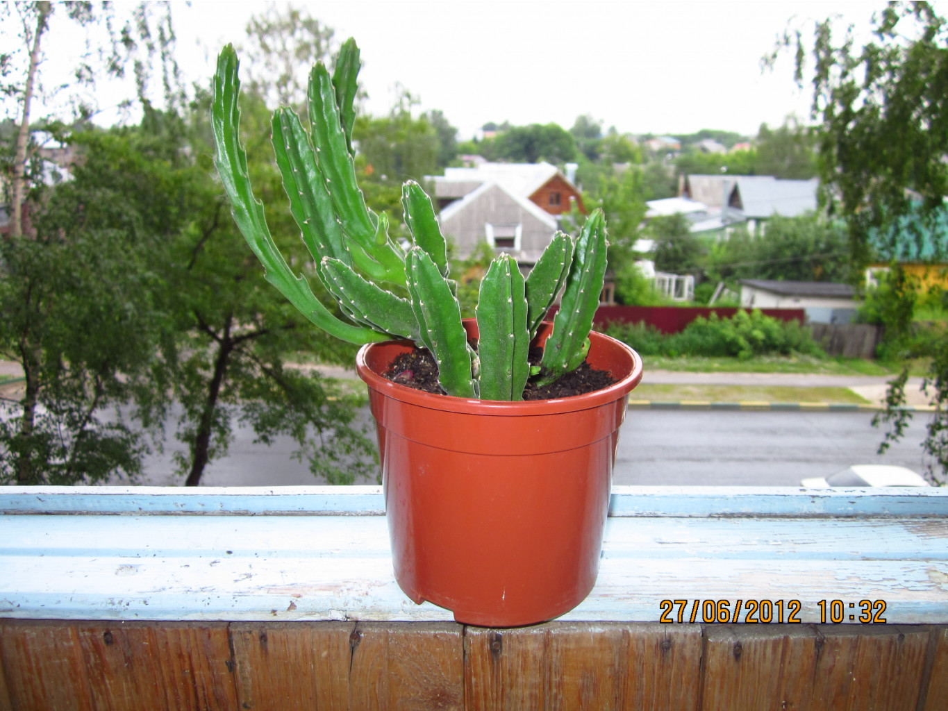 27.06.2012 12:39:08