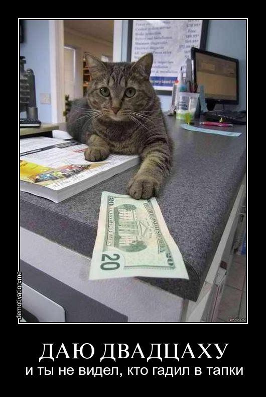 demotivator-0037.jpg
