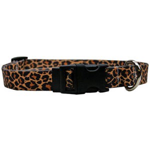 yd_leopard_300.jpg