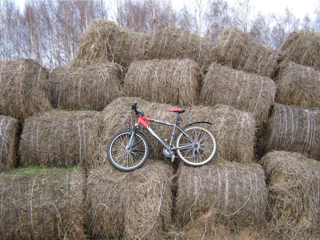 05.12.2009 18:58:08
