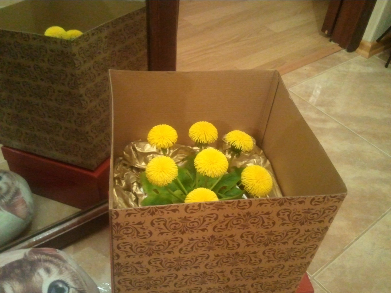 2013-02-26 23.00.22.jpg