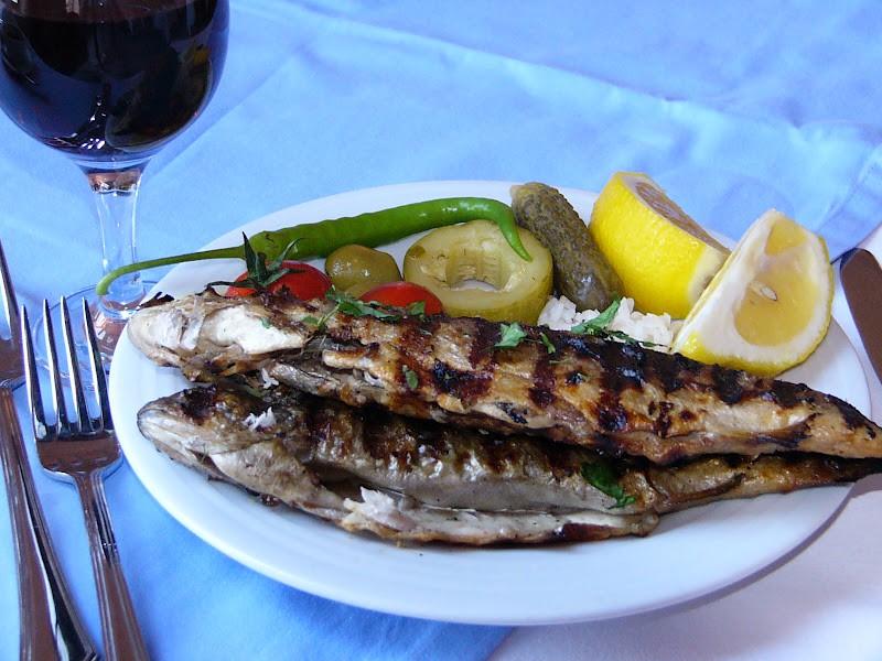 P1090585.JPG