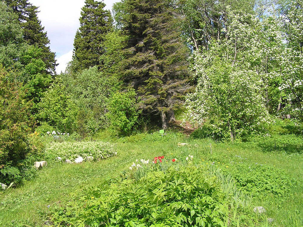 P1010497.jpg