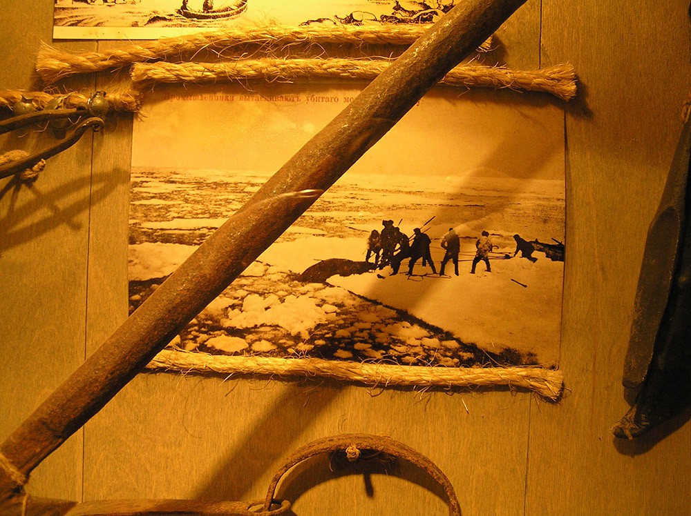 P1010541.jpg
