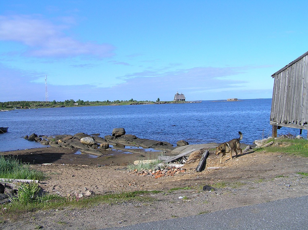 P1010818.jpg