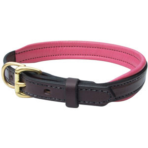 PR_padded_collar_300.jpg