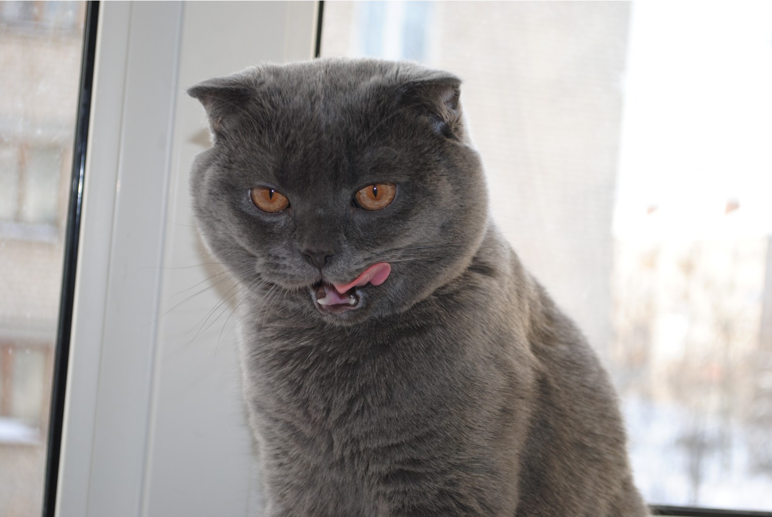 DSC_3739.JPG