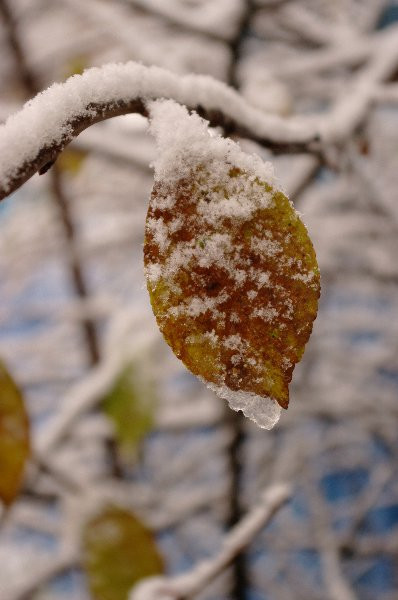 11.12.2009 17:26:03