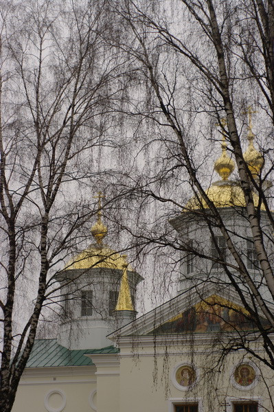 11.12.2009 17:38:23