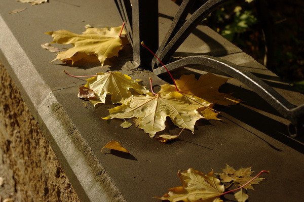11.12.2009 17:39:43
