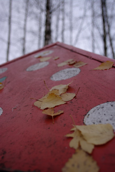 11.12.2009 17:39:51
