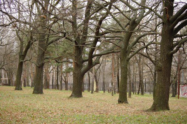 11.12.2009 17:40:52