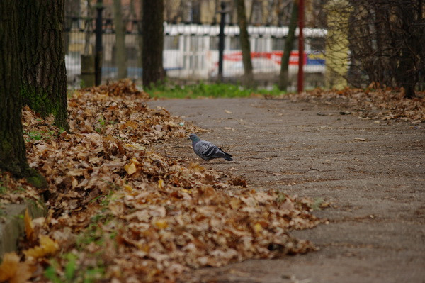11.12.2009 17:40:53