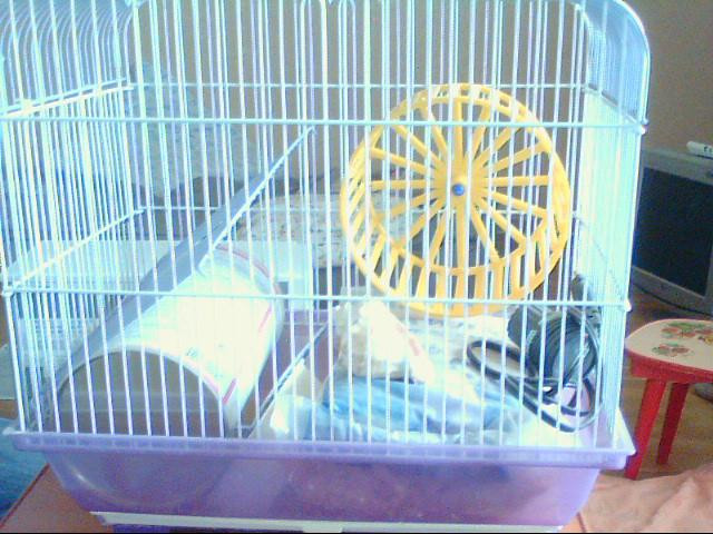 Picture0004.jpg