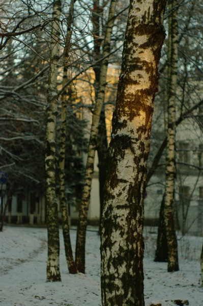 16.12.2009 16:34:58