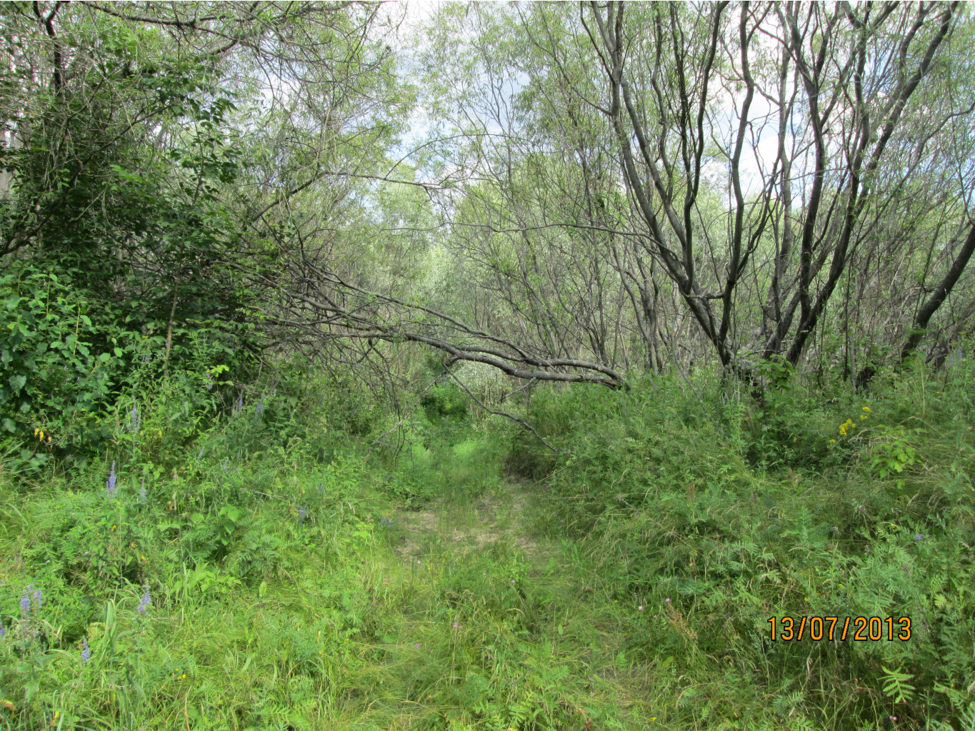 IMG_1143.JPG