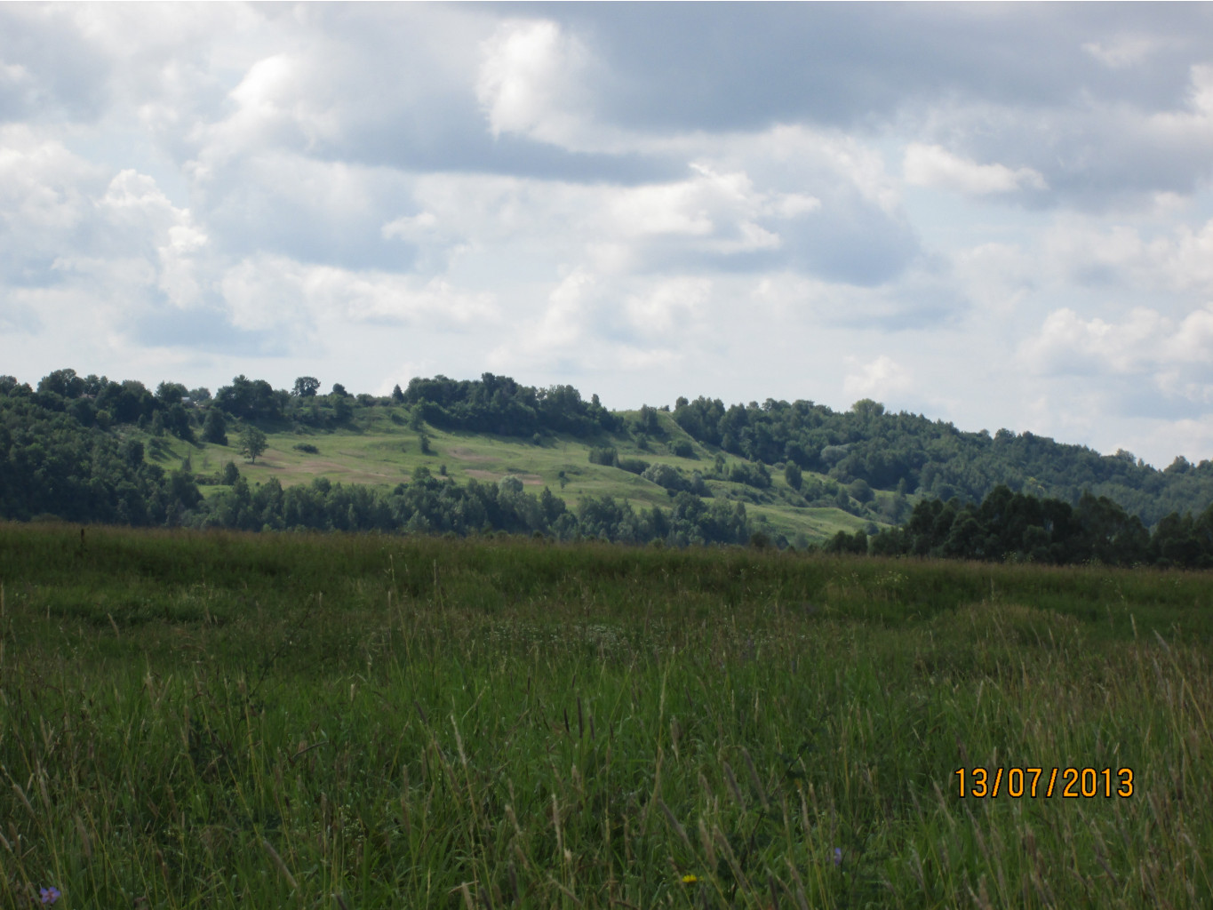 IMG_1146.JPG