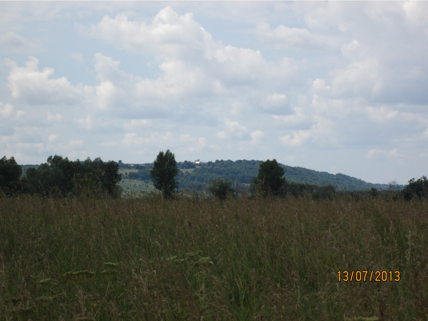 IMG_1151.JPG