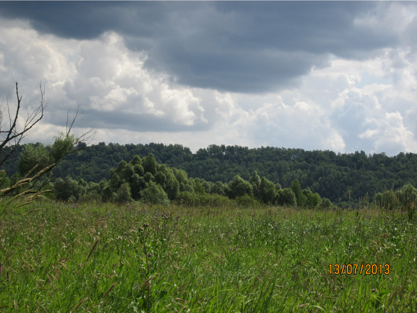 IMG_1166.JPG