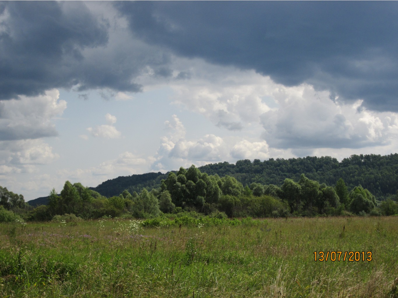 IMG_1169.JPG