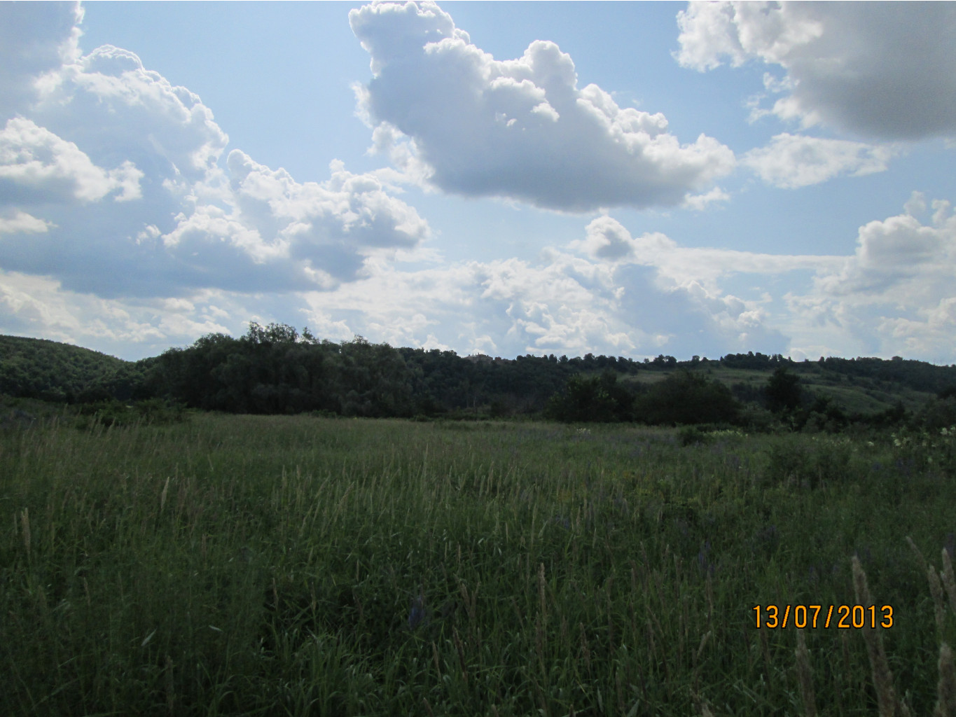 IMG_1177.JPG