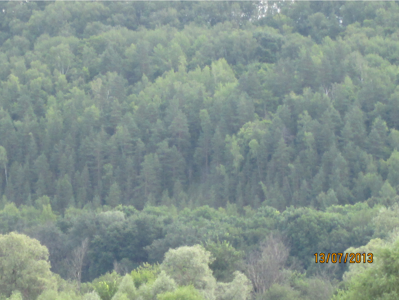 IMG_1184.JPG