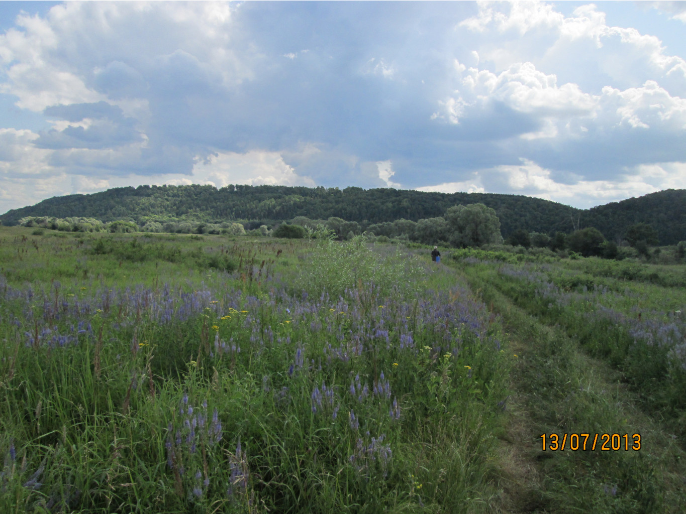 IMG_1186.JPG