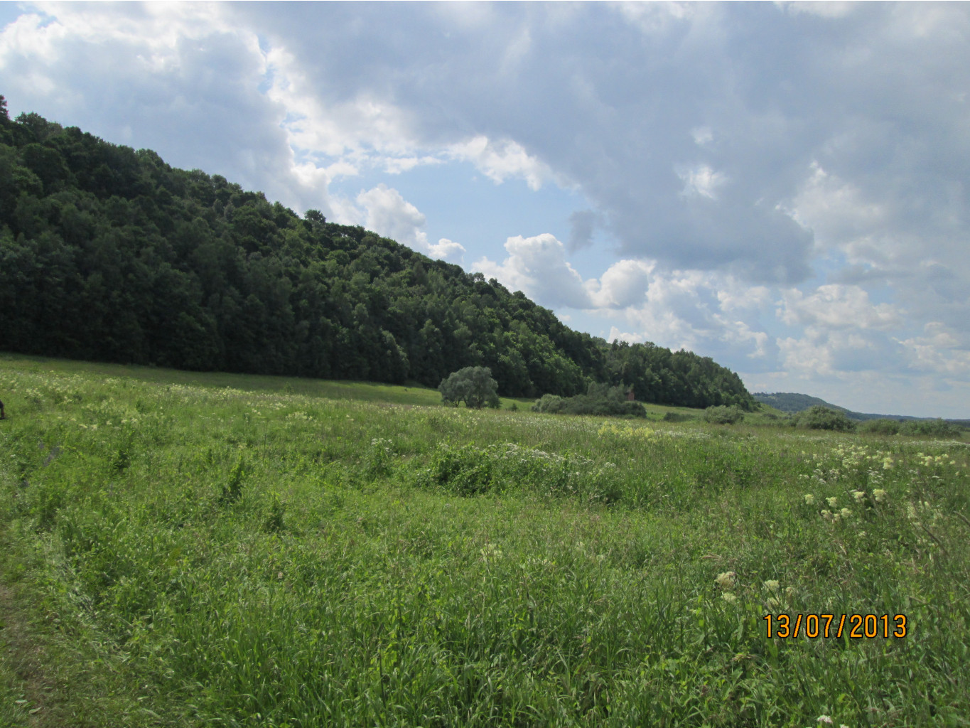 IMG_1207.JPG