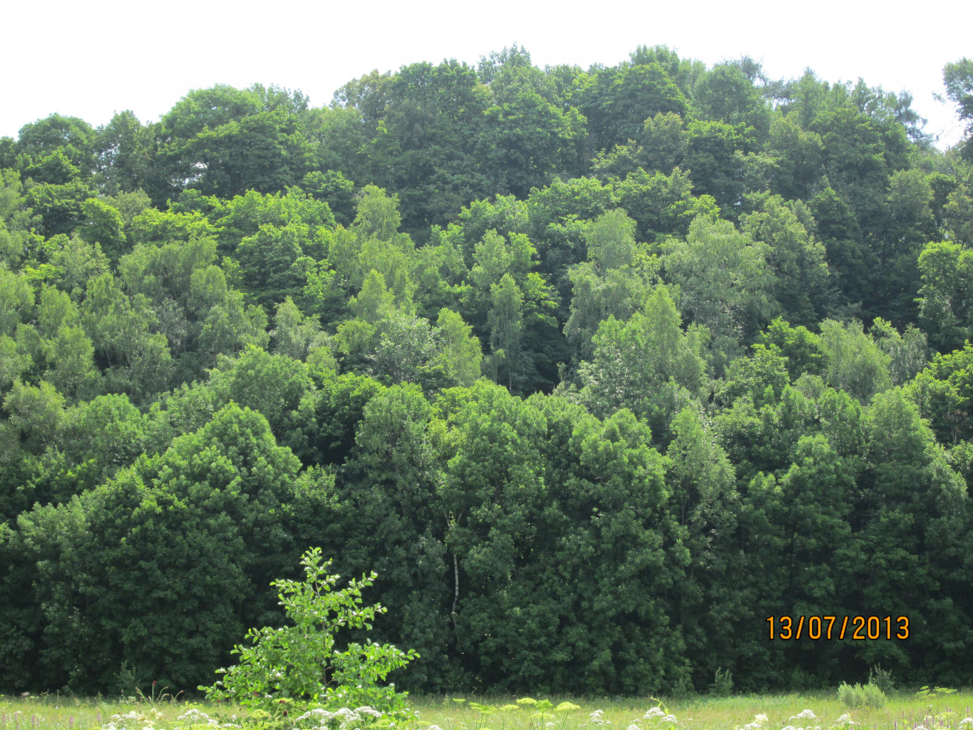 IMG_1209.JPG
